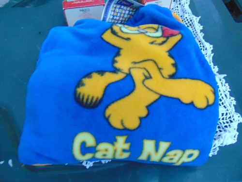 Vtg garfield the cat - the,